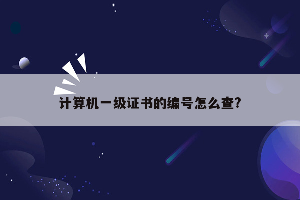 计算机一级证书的编号怎么查?