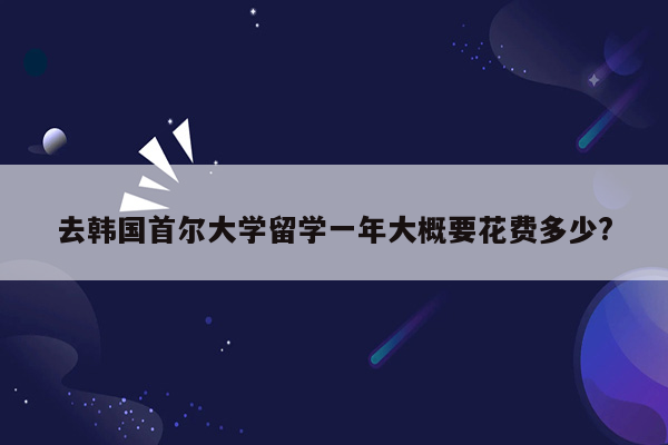 去韩国首尔大学留学一年大概要花费多少?