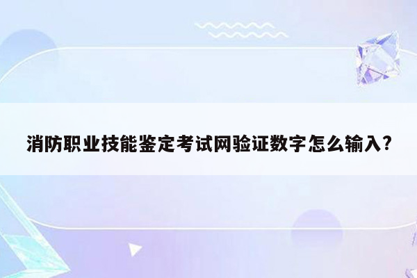 消防职业技能鉴定考试网验证数字怎么输入?