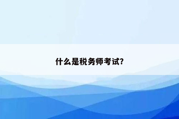 什么是税务师考试？