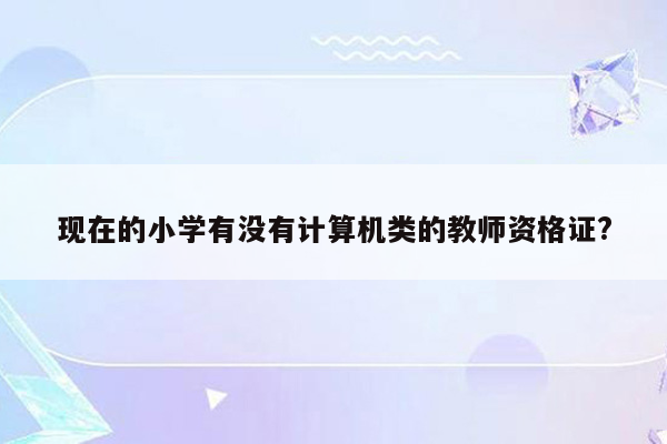 现在的小学有没有计算机类的教师资格证?