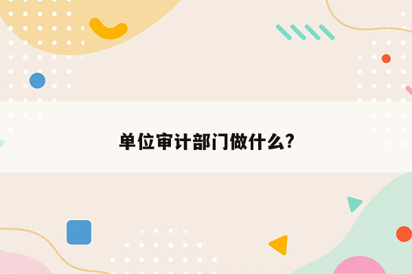 单位审计部门做什么?