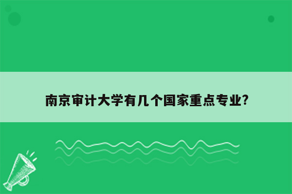 南京审计大学有几个国家重点专业?