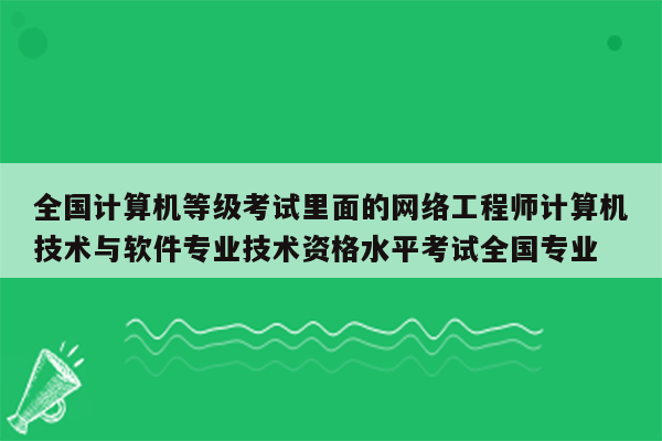 全国计算机等级考试里面的网络工程师计算机技术与软件专业技术资格水平考试全国专业