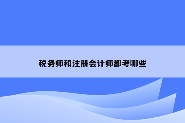 税务师和注册会计师都考哪些