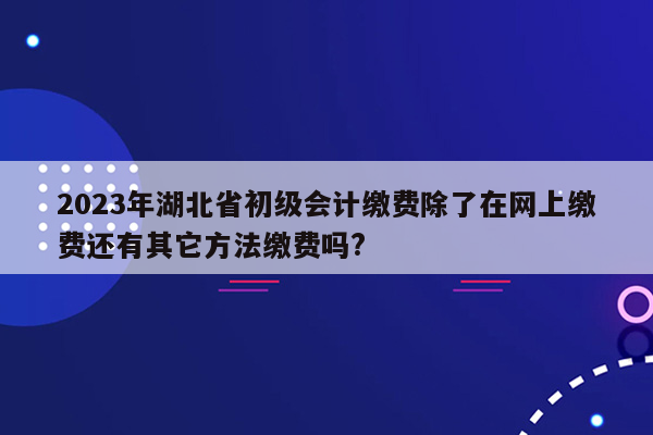 2023年湖北省初级会计缴费除了在网上缴费还有其它方法缴费吗?