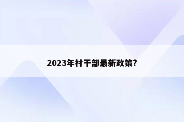 2023年村干部最新政策?