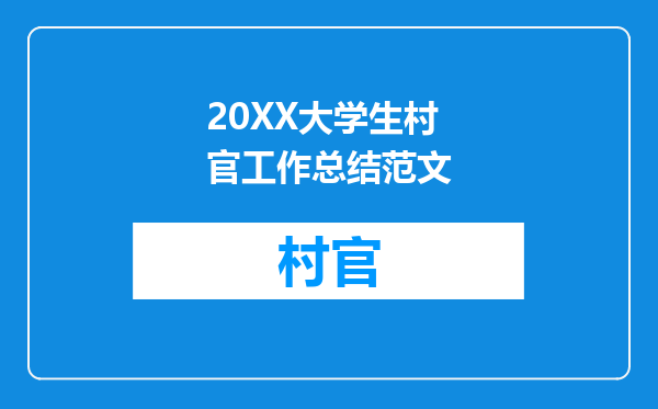 20XX大学生村官工作总结范文