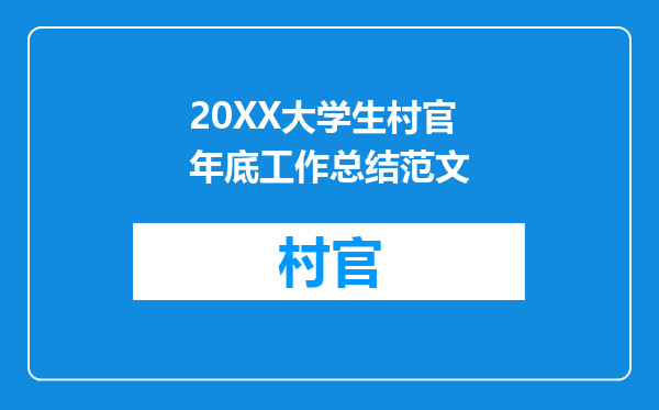 20XX大学生村官年底工作总结范文