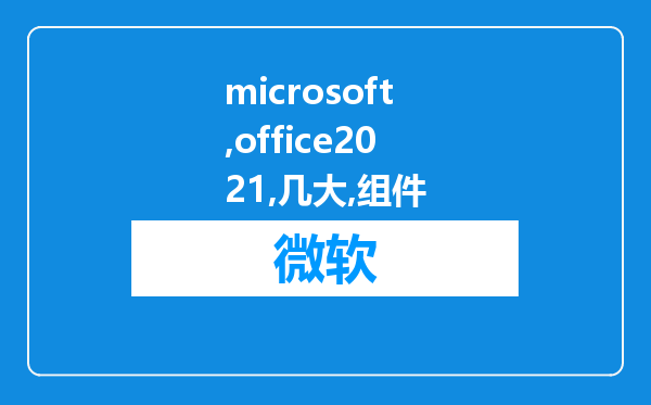 microsoft office2021的几大组件?