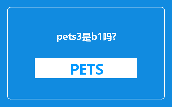 pets3是b1吗?