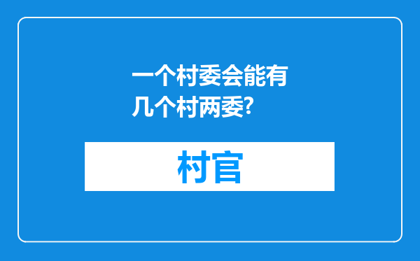 一个村委会能有几个村两委?