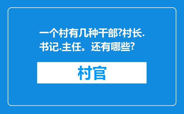 一个村有几种干部?村长.书记.主任。还有哪些?