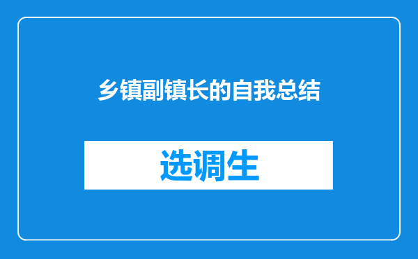 乡镇副镇长的自我总结