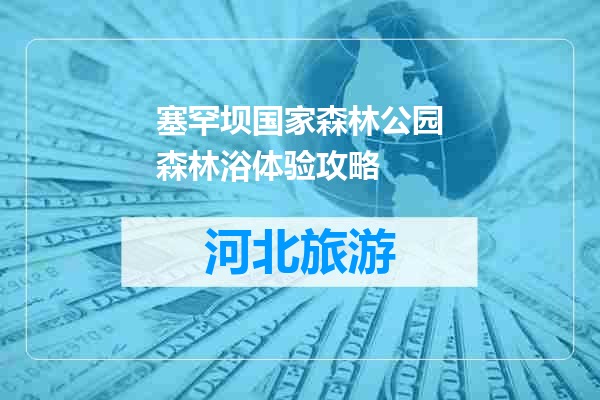 塞罕坝国家森林公园森林浴体验攻略