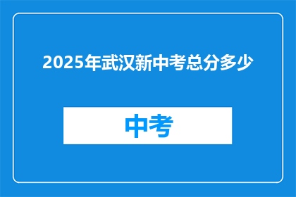 2025年武汉新中考总分多少