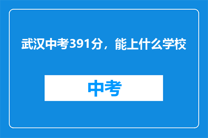 武汉中考391分，能上什么学校